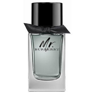Burberry Mr. Burberry For Him EDT (100 ml)